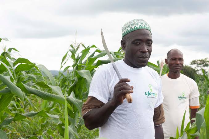 UfarmX Wants to Be the Equifax of African Agriculture, and It's Already Facilitated $6.8M Betting on It